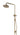 Brushed Gold Dual Shower with Diverter – Tigar Bathrooms